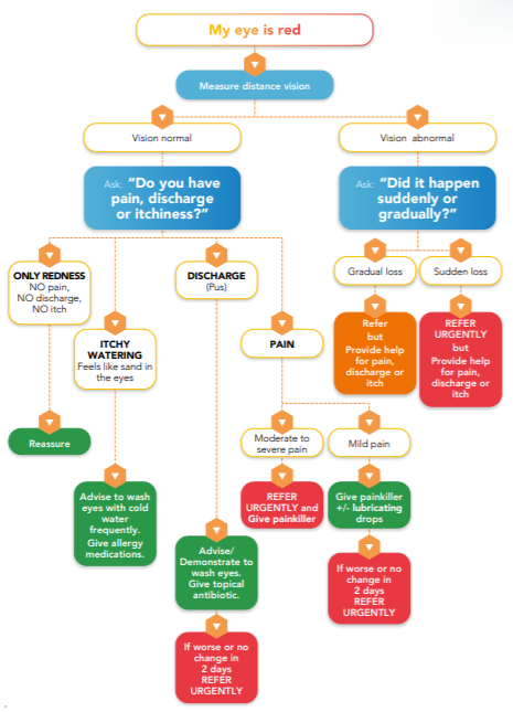 Red Reflex Algorithm Flowchart
