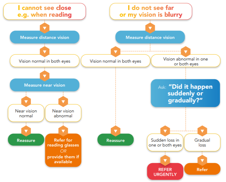 Vision Loss Algorithm Flowchart