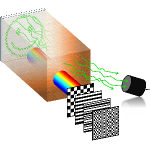 TRAFIX Microscopy Image